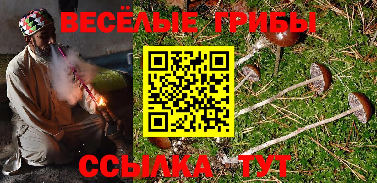 Псилоцибиновые грибы Magic Shrooms  Вход с VPN  Сибай 